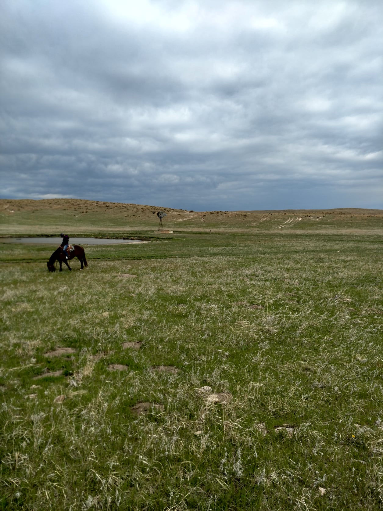 The Western Agency